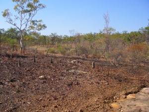 Laterised surface near 17 Mile Falls, Jatbula Trail, NT.