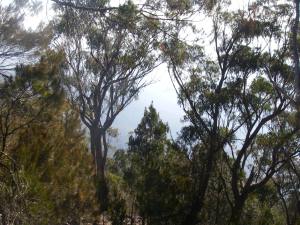 Bushfire in Kunderang Valley