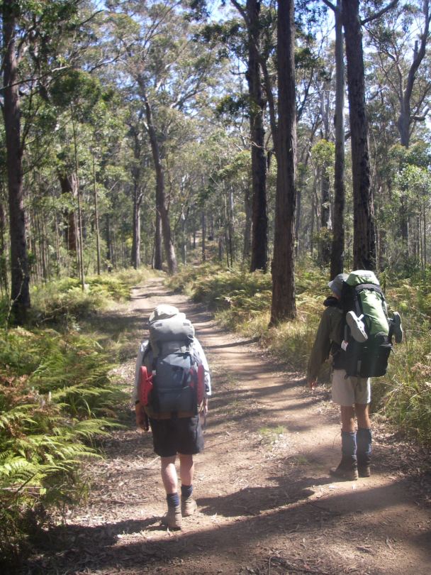 Green Gully Walk, NSW