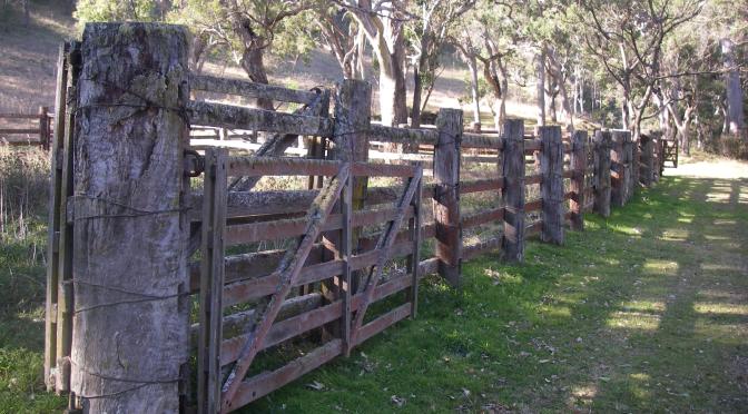 The Green Gully Track or Snakes Alive