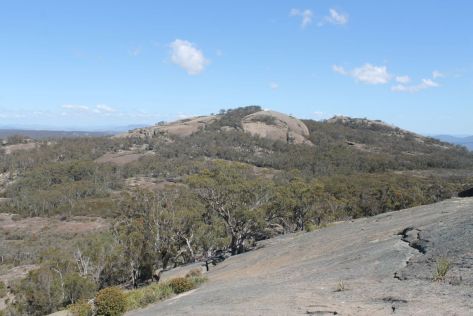 Exploring the backblocks of Girraween National Park. Of Domes, Dingoes and Dendrobiums.