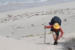 Truding in the never ending sand.