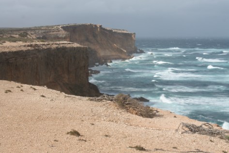 Cape Labatt SA