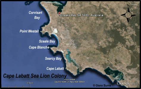 Streaky Bay Cape Labatt SA