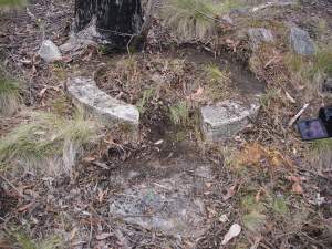 What am I ? Found next to a small mine shaft.