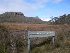Gibraltar Range Landscape