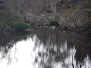 Yes, there is a platypus here. Somewhere. The light dot in the middle.