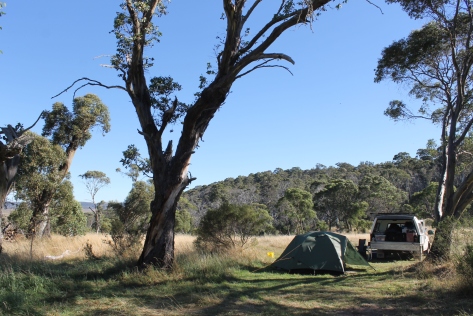 Horse campsite at Long Plain Hut. Kosciuszko National Park.
