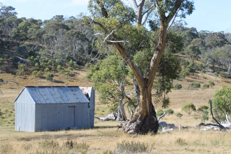 Hainsworth Hut on Dip Creek. Kosciuszko National Park.