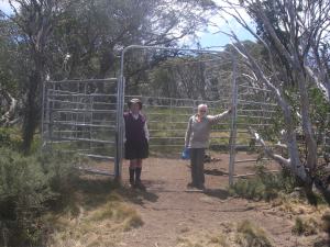 Brumby Trap on Cascade Trail