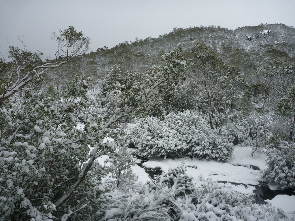 Lake Loane. Walls of Jerusalem. Tasmania.