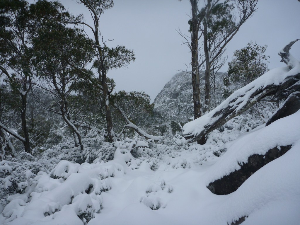 Heading for Herods Gate. Walls of Jerusalem. Tasmania.