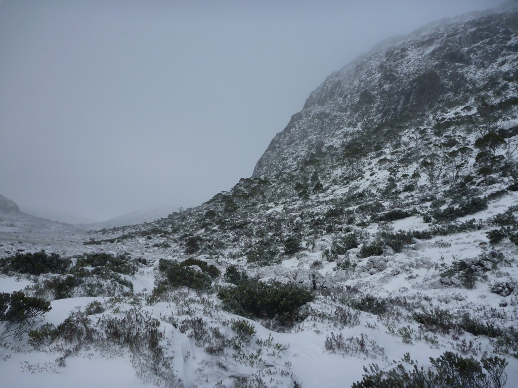 The West WalWalls of Jerusalem. Tasmania.l. 