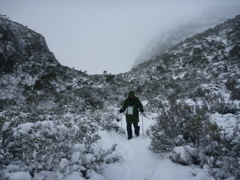 Descending from Herods Gate