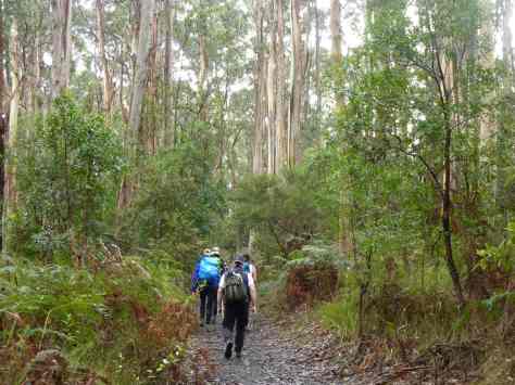 Otway Ranges