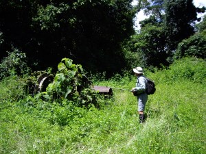 Winch at end of the Winder Track