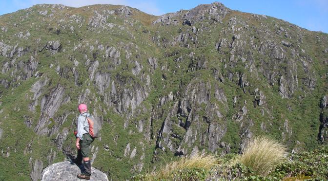 Stewart Island’s NW Circuit