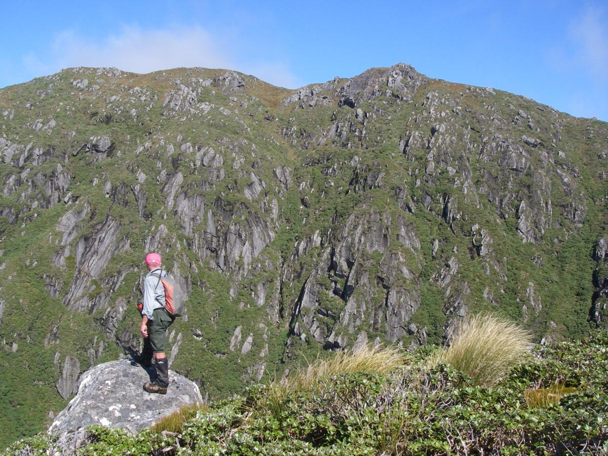 Stewart Island’s NW Circuit