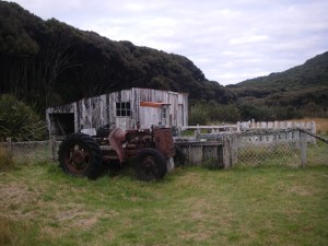 Shearing Shed