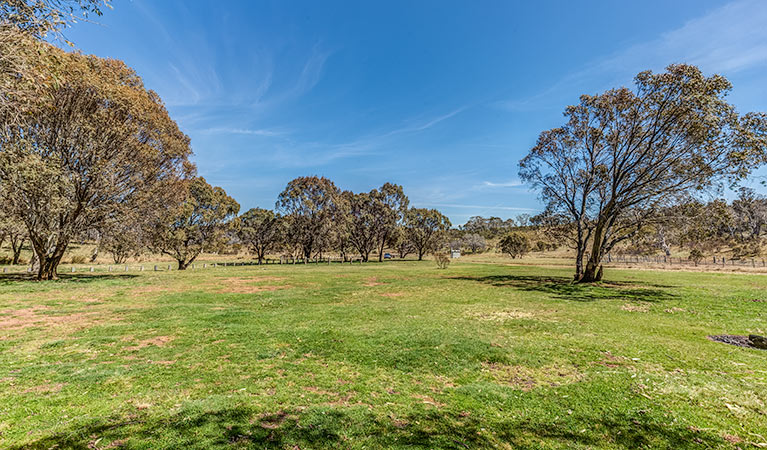 Ghost Gully Campground.   Kosciuszko National Park.