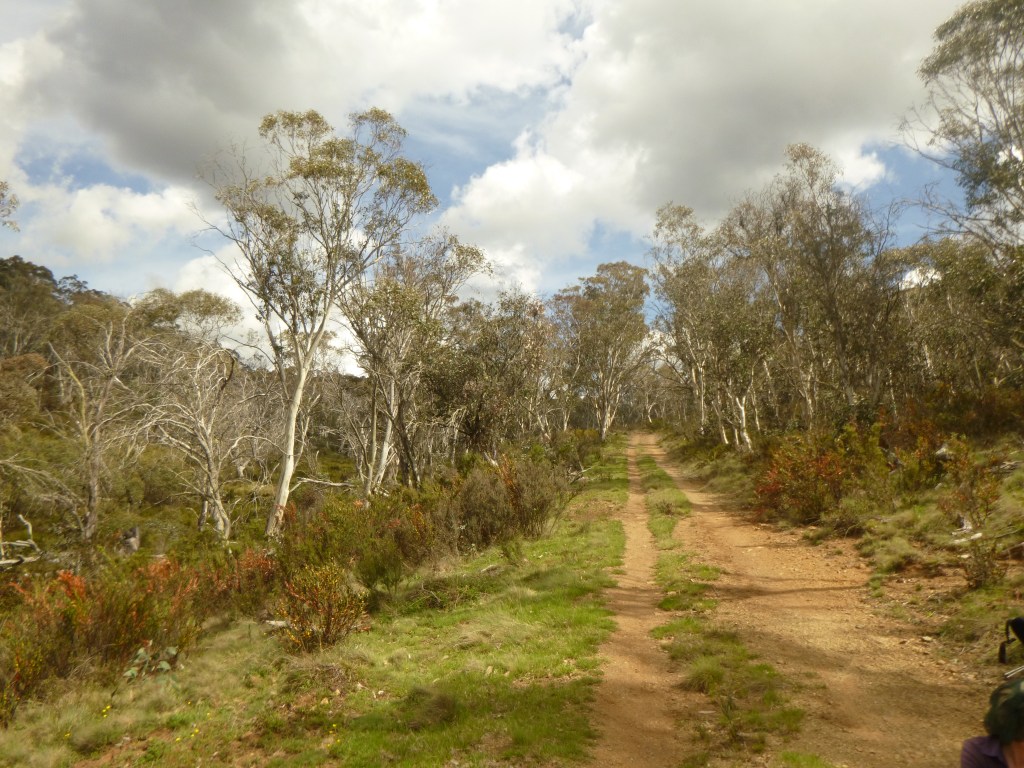 Photo Gallery of Northern Kosciuszko. Kosciuszko National Park.