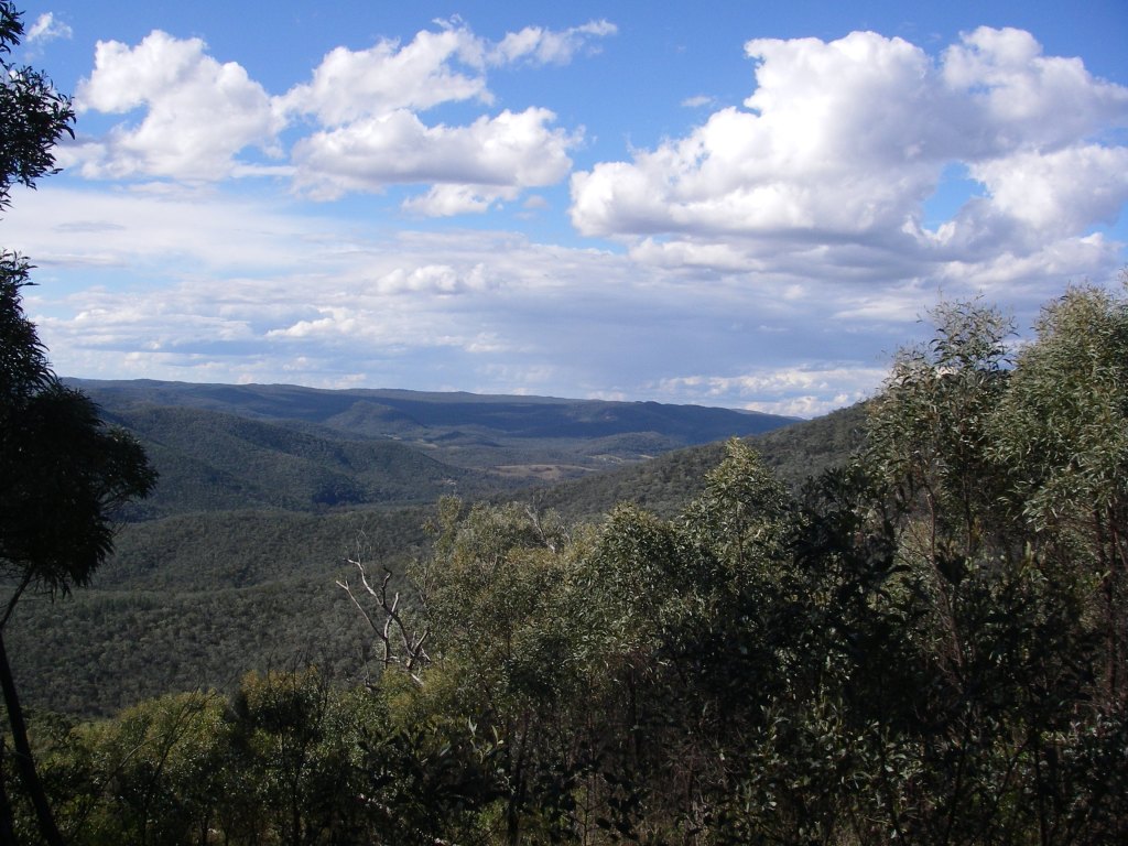View from Mt Lofty. Sundown National Park. Qld.