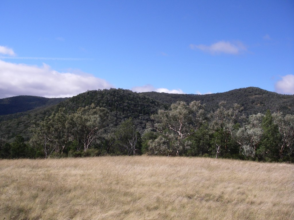 Roberts Range. Sundown National Park. Qld.