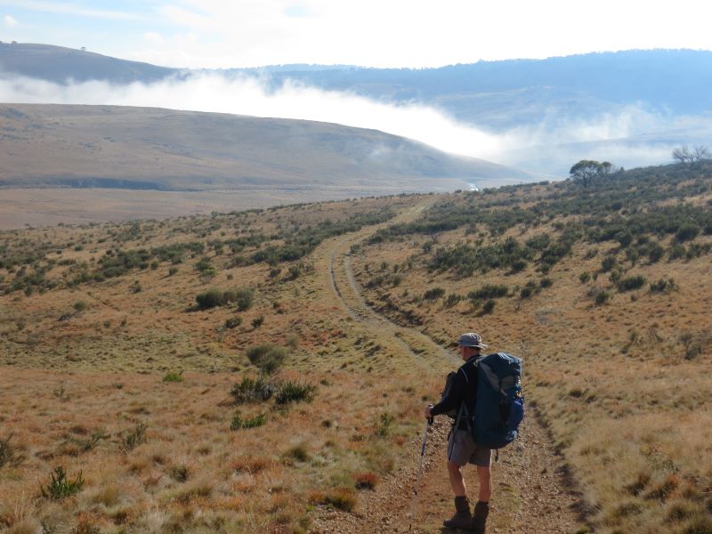 Bullock Hill Fire Trail.  Kosciuszko National park.