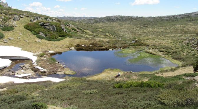 A Hike to Bluff Tarn and The Brassy Mountains in Kosciuszko National Park
