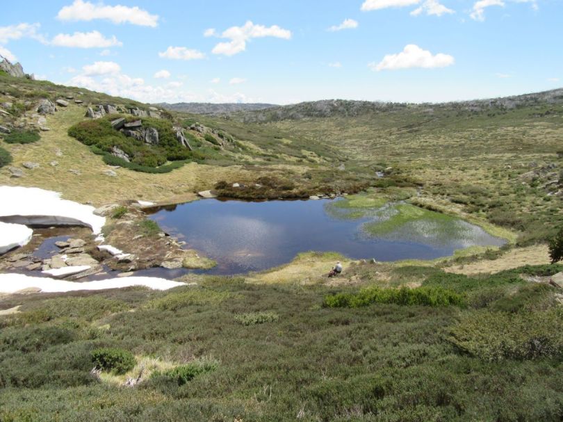 Bluff Tarn. Kosciuszko National Park.