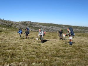 Brassy Mountains. . Kosciuszko National Park.