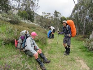 Aquaduct Track. . Kosciuszko National Park.