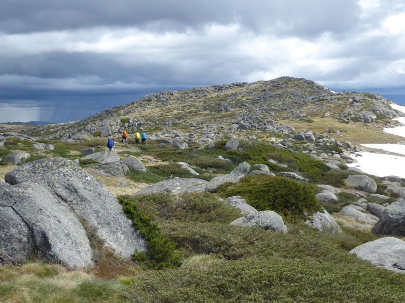 Kerries Ridge. Kosciuszko National Park.