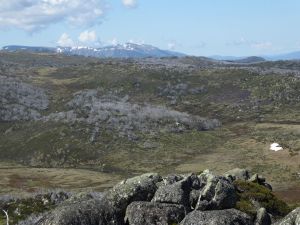View from Cup and Saucer looking south. . Kosciuszko National Park.