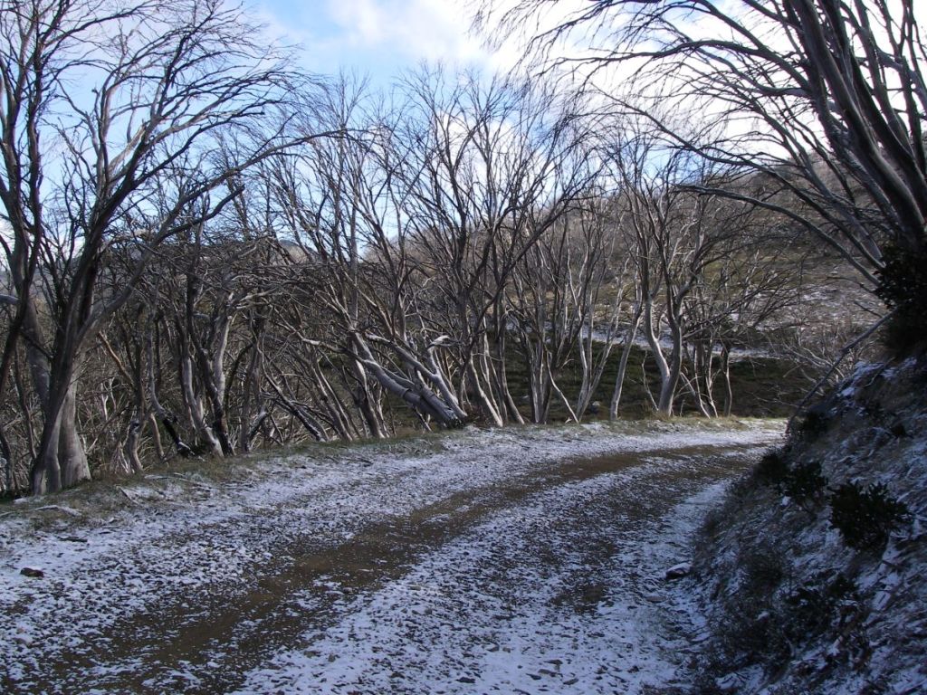 Climbing up to Schlink Pass. Kosciuszko National Park.