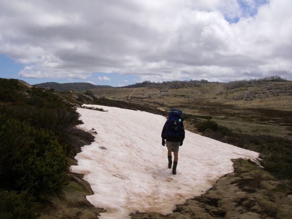 On the Grey Mare Trail heading for Jagungal. Kosciuszko National Park