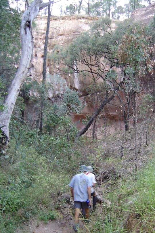 Mt Moffatt NP Devils Canyon: soft pink Hutton Sandstone.