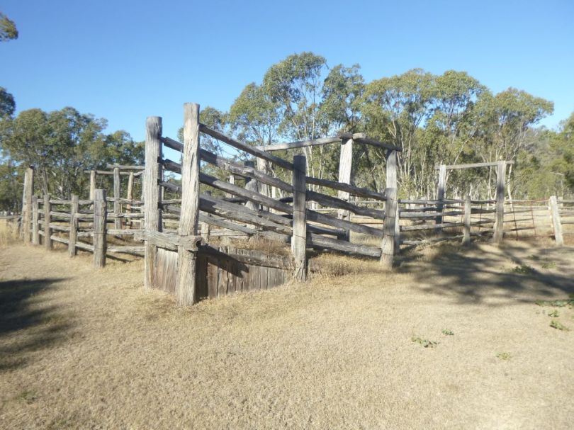 Old stockyards. Mt Moffatt