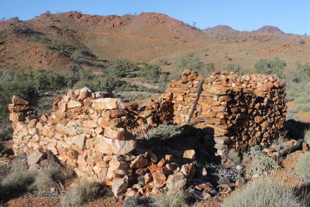 Ruins of shepherd's or miner's hut on Hamilton River. SA.
