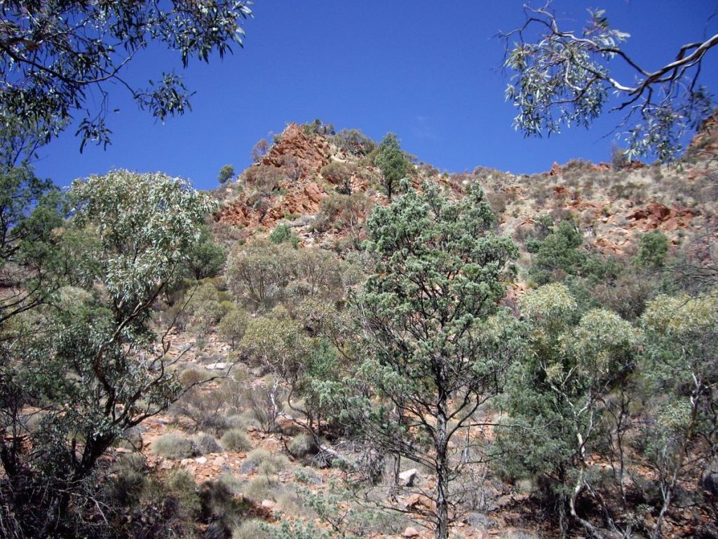 Mawson Plateau landscape.
