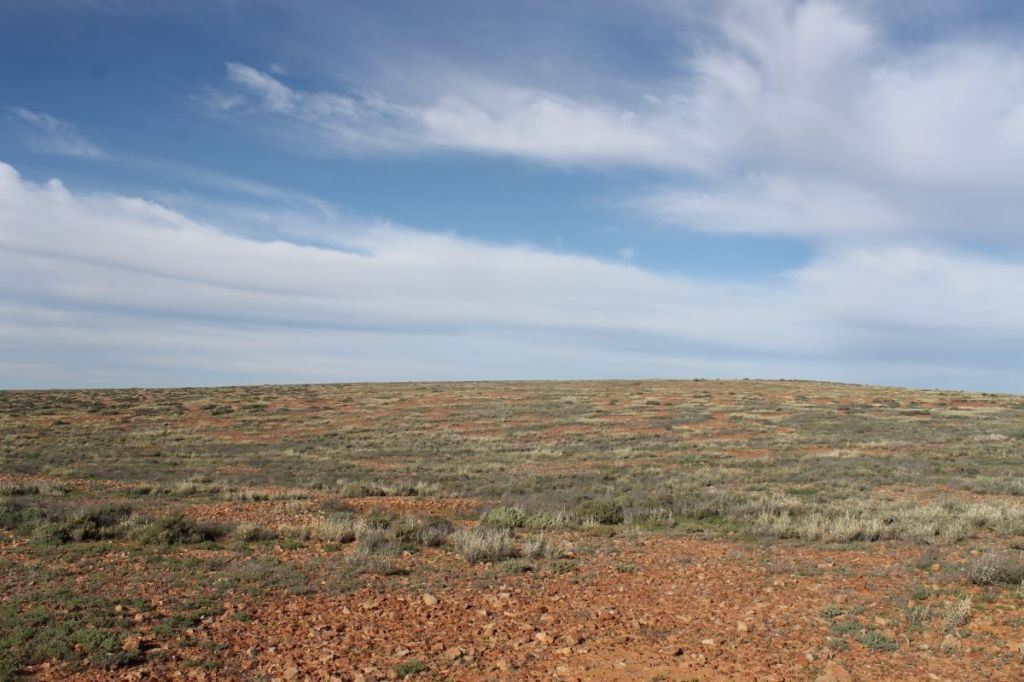 Plains north of Mt Hopeless. SA.