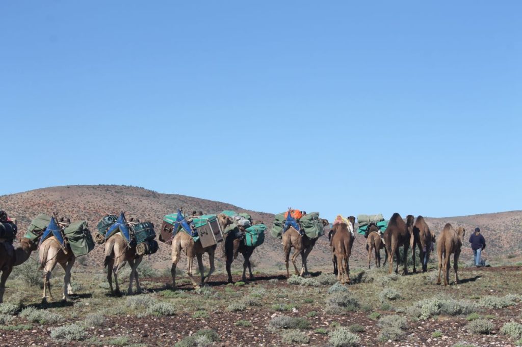 Camel String heading south from Mt Hopeless. SA