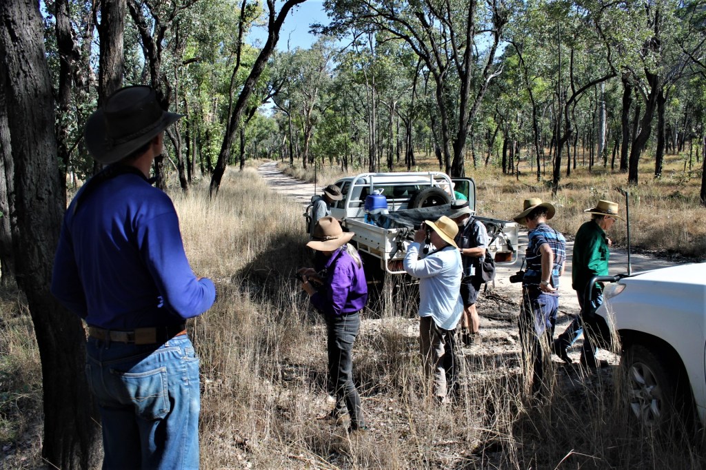 On track to Dooloogarah  Station near Gee Gee Gap