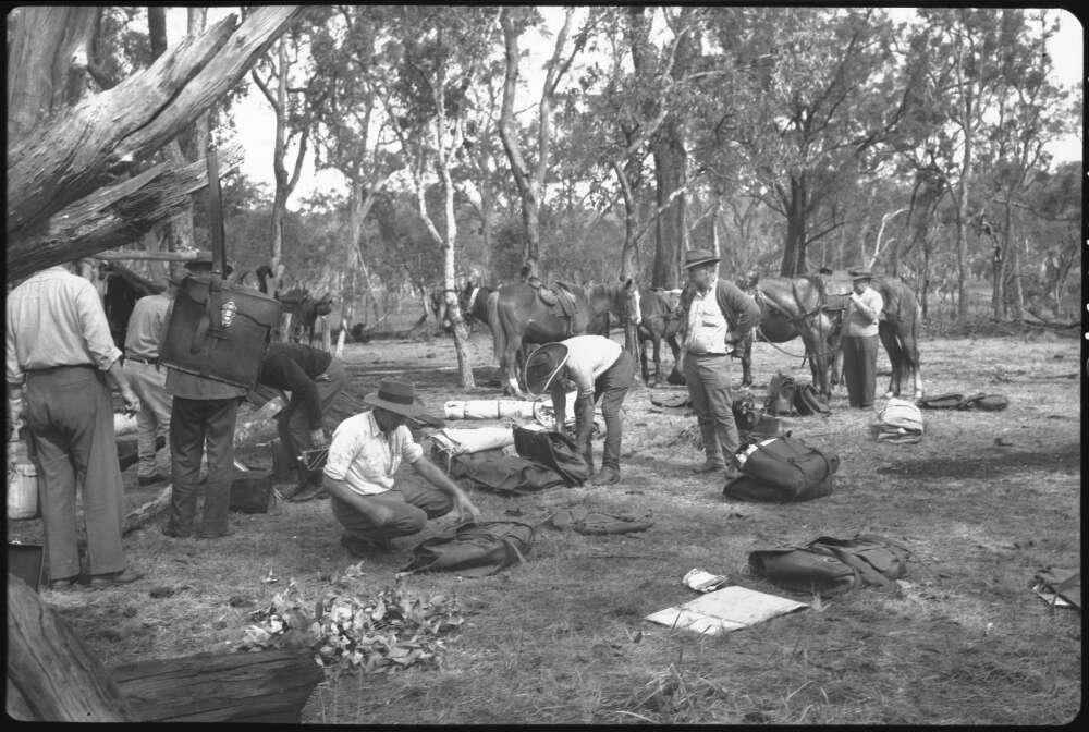 Racecourse Campsite, Consuelo Tableland, Mt Moffatt, Qld 1949.