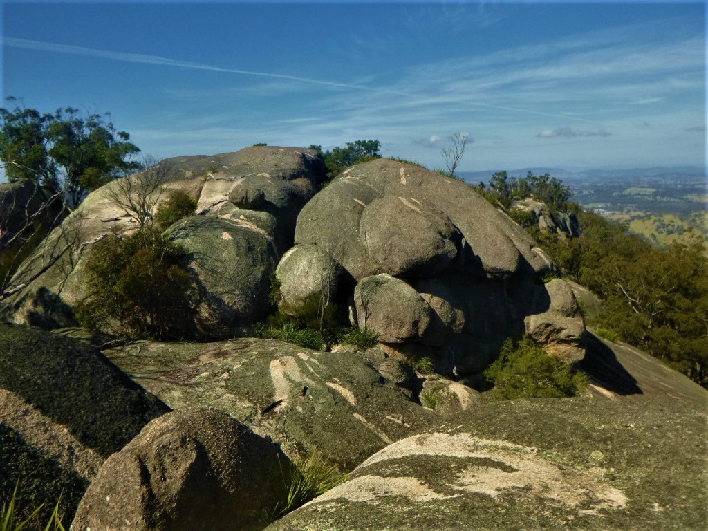 Summit of Wallaroo Ridge. Girraween NP