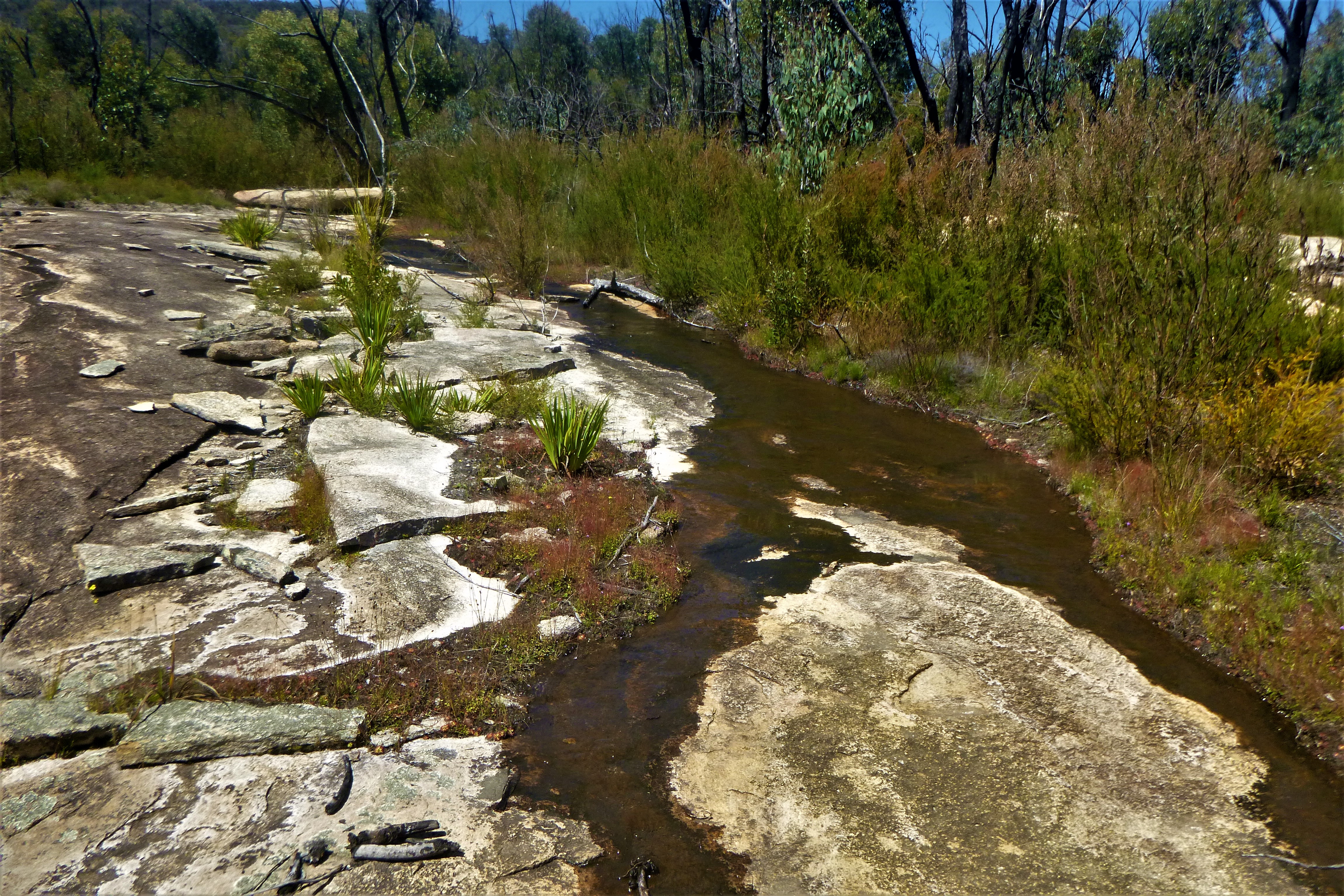 Wallangarra Ridge | by map and compass