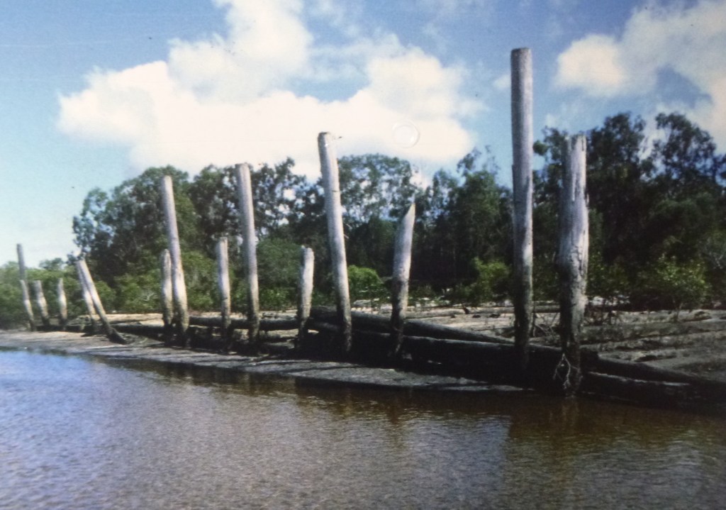 Log loading wharf on Great Sandy Strait. K'gari.