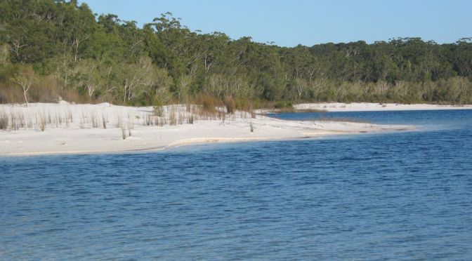 Dingo Days . Hiking K’gari’s Southern Lakes Circuit.