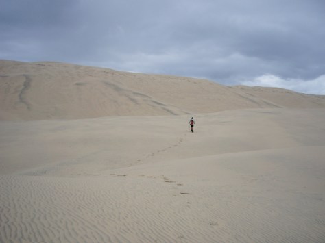 The Sandhills. Noreton Islans. Qld