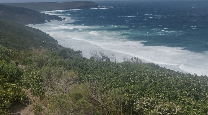 Hiking the Southern Bibbulmun Track